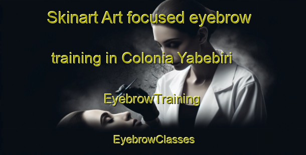 Skinart Art-focused eyebrow training in Colonia Yabebiri | EyebrowTraining | EyebrowClasses | SkinartTraining-Argentina