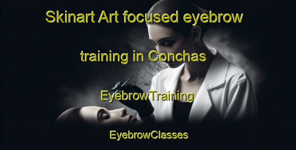 Skinart Art-focused eyebrow training in Conchas | EyebrowTraining | EyebrowClasses | SkinartTraining-Argentina