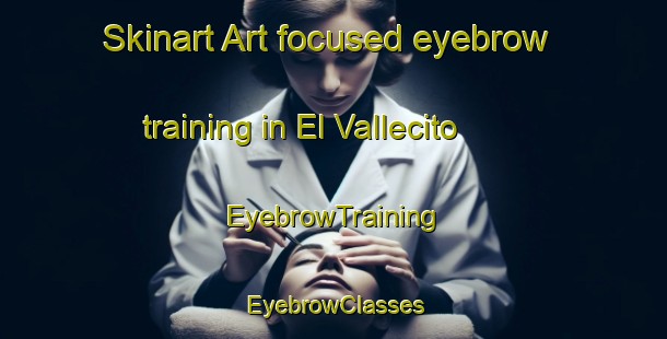 Skinart Art-focused eyebrow training in El Vallecito | EyebrowTraining | EyebrowClasses | SkinartTraining-Argentina