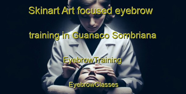 Skinart Art-focused eyebrow training in Guanaco Sombriana | EyebrowTraining | EyebrowClasses | SkinartTraining-Argentina