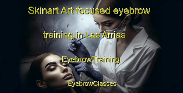 Skinart Art-focused eyebrow training in Las Arrias | EyebrowTraining | EyebrowClasses | SkinartTraining-Argentina