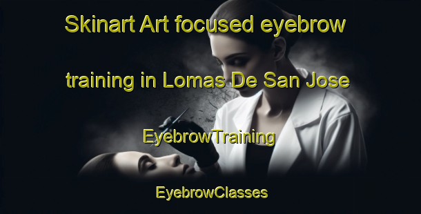 Skinart Art-focused eyebrow training in Lomas De San Jose | EyebrowTraining | EyebrowClasses | SkinartTraining-Argentina