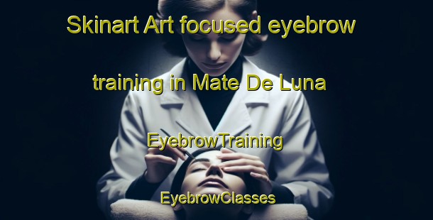 Skinart Art-focused eyebrow training in Mate De Luna | EyebrowTraining | EyebrowClasses | SkinartTraining-Argentina