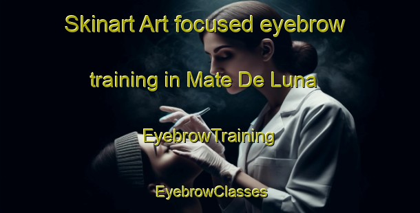 Skinart Art-focused eyebrow training in Mate De Luna | EyebrowTraining | EyebrowClasses | SkinartTraining-Argentina