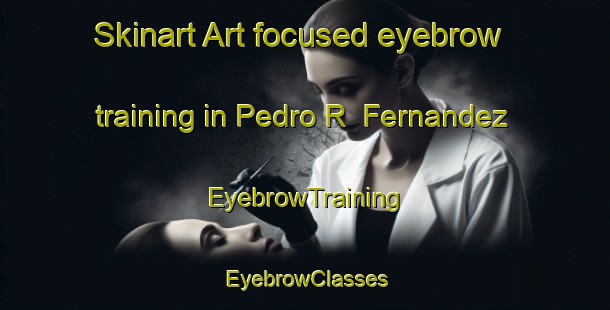 Skinart Art-focused eyebrow training in Pedro R  Fernandez | EyebrowTraining | EyebrowClasses | SkinartTraining-Argentina