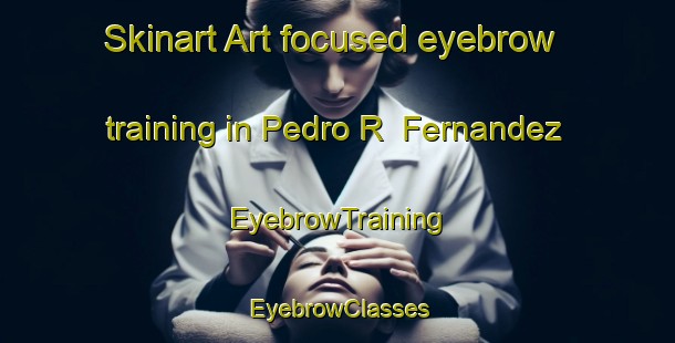 Skinart Art-focused eyebrow training in Pedro R  Fernandez | EyebrowTraining | EyebrowClasses | SkinartTraining-Argentina