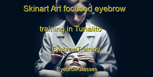 Skinart Art-focused eyebrow training in Tunalito | EyebrowTraining | EyebrowClasses | SkinartTraining-Argentina