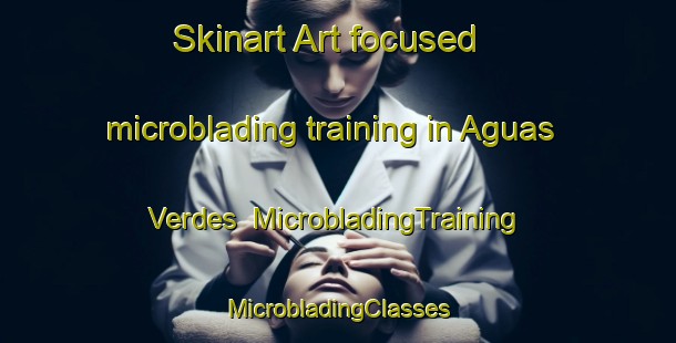 Skinart Art-focused microblading training in Aguas Verdes | #MicrobladingTraining #MicrobladingClasses #SkinartTraining-Argentina