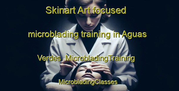 Skinart Art-focused microblading training in Aguas Verdes | MicrobladingTraining | MicrobladingClasses | SkinartTraining-Argentina
