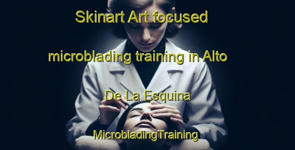 Skinart Art-focused microblading training in Alto De La Esquina | #MicrobladingTraining #MicrobladingClasses #SkinartTraining-Argentina