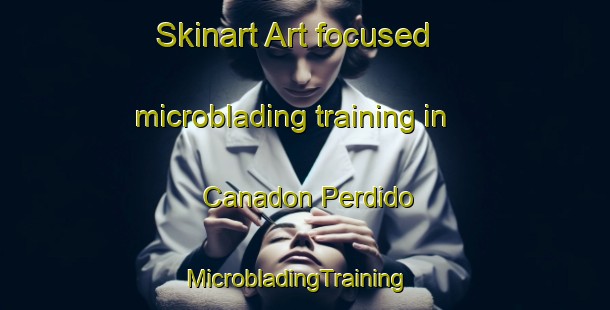 Skinart Art-focused microblading training in Canadon Perdido | MicrobladingTraining | MicrobladingClasses | SkinartTraining-Argentina