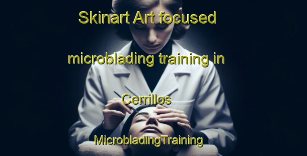 Skinart Art-focused microblading training in Cerrillos | MicrobladingTraining | MicrobladingClasses | SkinartTraining-Argentina
