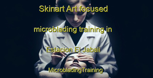 Skinart Art-focused microblading training in Estacion El Jabali | #MicrobladingTraining #MicrobladingClasses #SkinartTraining-Argentina