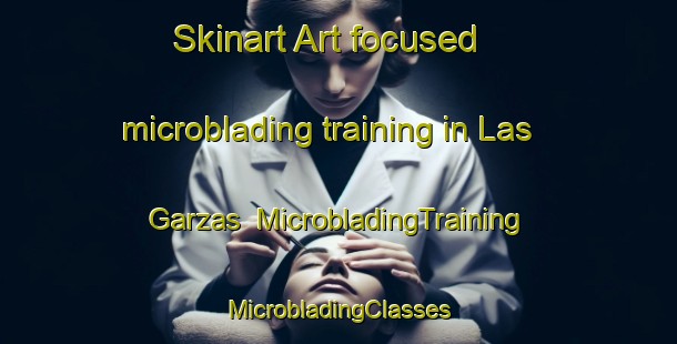 Skinart Art-focused microblading training in Las Garzas | #MicrobladingTraining #MicrobladingClasses #SkinartTraining-Argentina