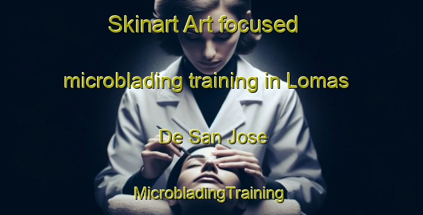 Skinart Art-focused microblading training in Lomas De San Jose | #MicrobladingTraining #MicrobladingClasses #SkinartTraining-Argentina