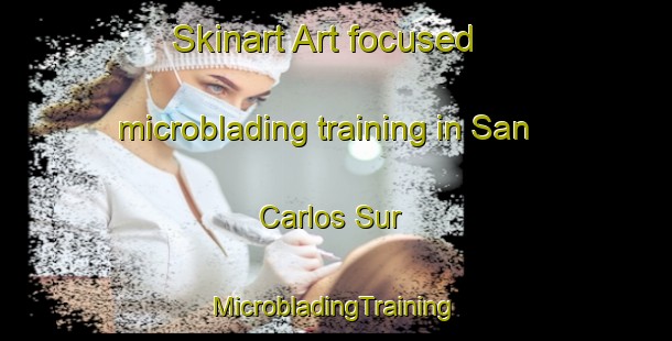 Skinart Art-focused microblading training in San Carlos Sur | #MicrobladingTraining #MicrobladingClasses #SkinartTraining-Argentina