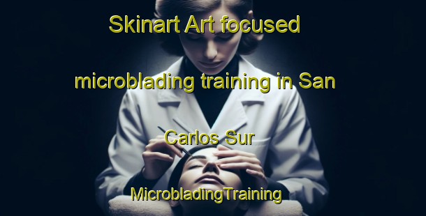 Skinart Art-focused microblading training in San Carlos Sur | MicrobladingTraining | MicrobladingClasses | SkinartTraining-Argentina
