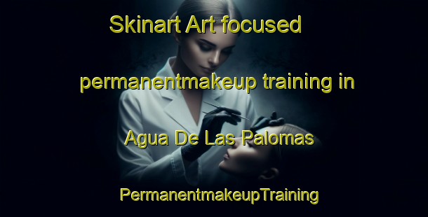 Skinart Art-focused permanentmakeup training in Agua De Las Palomas | PermanentmakeupTraining | PermanentmakeupClasses | SkinartTraining-Argentina