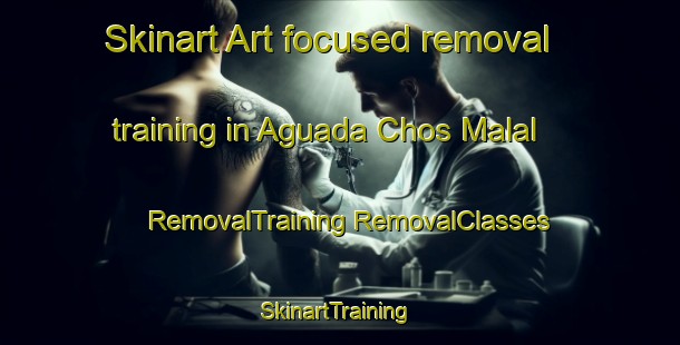 Skinart Art-focused removal training in Aguada Chos Malal | #RemovalTraining #RemovalClasses #SkinartTraining-Argentina