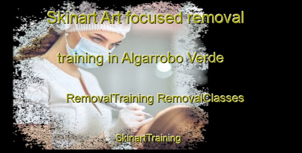 Skinart Art-focused removal training in Algarrobo Verde | #RemovalTraining #RemovalClasses #SkinartTraining-Argentina