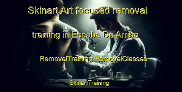 Skinart Art-focused removal training in Escaba De Arriba | #RemovalTraining #RemovalClasses #SkinartTraining-Argentina