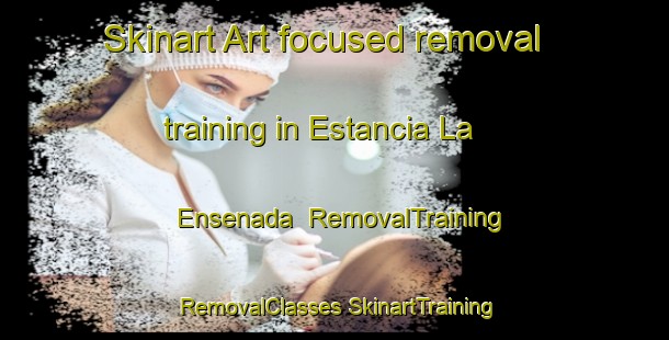 Skinart Art-focused removal training in Estancia La Ensenada | #RemovalTraining #RemovalClasses #SkinartTraining-Argentina