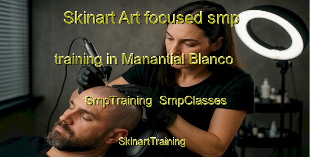 Skinart Art-focused smp training in Manantial Blanco | SmpTraining | SmpClasses | SkinartTraining-Argentina