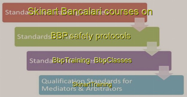 Skinart Bancalari courses on BBP safety protocols | BbpTraining | BbpClasses | SkinartTraining-Argentina