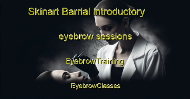 Skinart Barrial introductory eyebrow sessions | EyebrowTraining | EyebrowClasses | SkinartTraining-Argentina