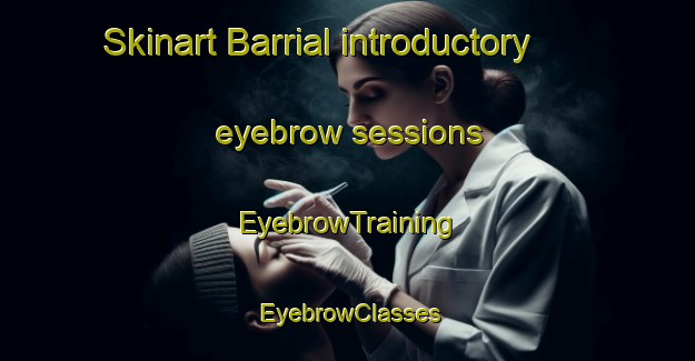 Skinart Barrial introductory eyebrow sessions | EyebrowTraining | EyebrowClasses | SkinartTraining-Argentina