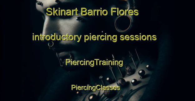 Skinart Barrio Flores introductory piercing sessions | PiercingTraining | PiercingClasses | SkinartTraining-Argentina