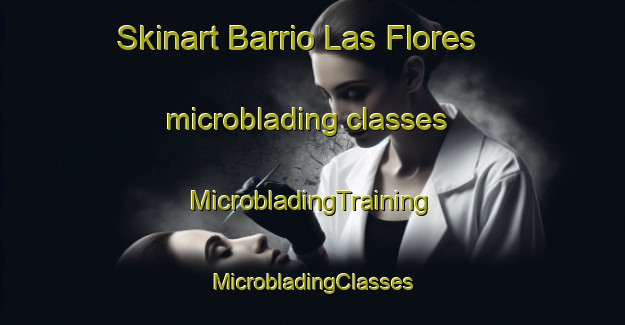 Skinart Barrio Las Flores microblading classes | #MicrobladingTraining #MicrobladingClasses #SkinartTraining-Argentina