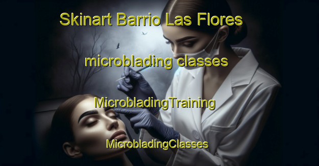 Skinart Barrio Las Flores microblading classes | MicrobladingTraining | MicrobladingClasses | SkinartTraining-Argentina