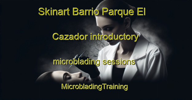 Skinart Barrio Parque El Cazador introductory microblading sessions | #MicrobladingTraining #MicrobladingClasses #SkinartTraining-Argentina