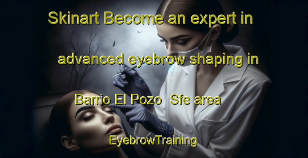 Skinart Become an expert in advanced eyebrow shaping in Barrio El Pozo  Sfe area | EyebrowTraining | EyebrowClasses | SkinartTraining-Argentina