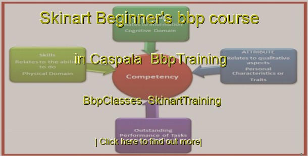 Skinart Beginner's bbp course in Caspala | BbpTraining | BbpClasses | SkinartTraining-Argentina