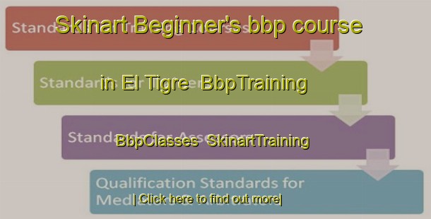 Skinart Beginner's bbp course in El Tigre | BbpTraining | BbpClasses | SkinartTraining-Argentina