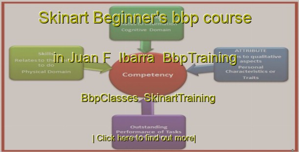 Skinart Beginner's bbp course in Juan F  Ibarra | BbpTraining | BbpClasses | SkinartTraining-Argentina