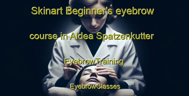 Skinart Beginner's eyebrow course in Aldea Spatzenkutter | EyebrowTraining | EyebrowClasses | SkinartTraining-Argentina