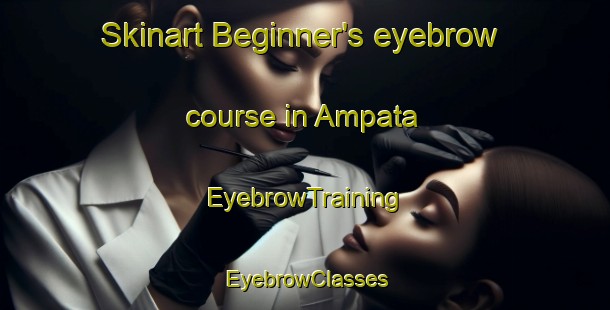 Skinart Beginner's eyebrow course in Ampata | EyebrowTraining | EyebrowClasses | SkinartTraining-Argentina