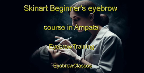 Skinart Beginner's eyebrow course in Ampata | EyebrowTraining | EyebrowClasses | SkinartTraining-Argentina