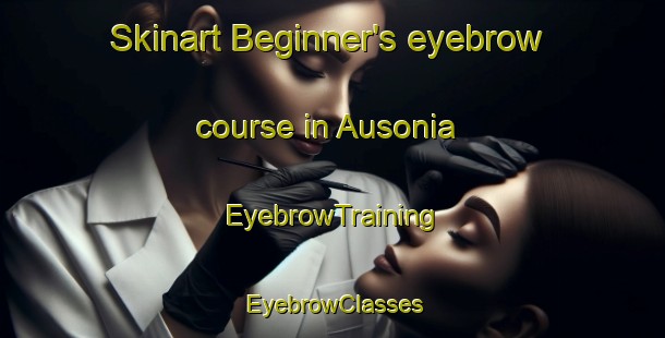 Skinart Beginner's eyebrow course in Ausonia | EyebrowTraining | EyebrowClasses | SkinartTraining-Argentina