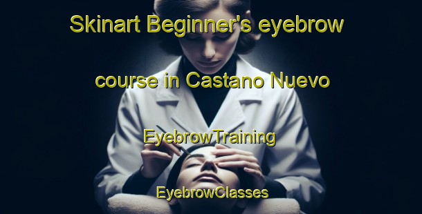 Skinart Beginner's eyebrow course in Castano Nuevo | EyebrowTraining | EyebrowClasses | SkinartTraining-Argentina