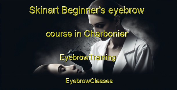 Skinart Beginner's eyebrow course in Charbonier | EyebrowTraining | EyebrowClasses | SkinartTraining-Argentina