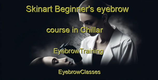 Skinart Beginner's eyebrow course in Chillar | EyebrowTraining | EyebrowClasses | SkinartTraining-Argentina