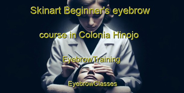Skinart Beginner's eyebrow course in Colonia Hinojo | EyebrowTraining | EyebrowClasses | SkinartTraining-Argentina