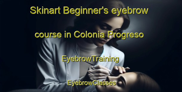 Skinart Beginner's eyebrow course in Colonia Progreso | EyebrowTraining | EyebrowClasses | SkinartTraining-Argentina