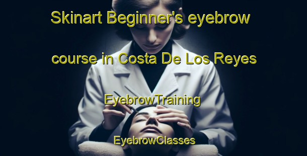 Skinart Beginner's eyebrow course in Costa De Los Reyes | EyebrowTraining | EyebrowClasses | SkinartTraining-Argentina
