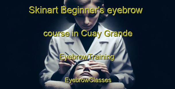 Skinart Beginner's eyebrow course in Cuay Grande | EyebrowTraining | EyebrowClasses | SkinartTraining-Argentina