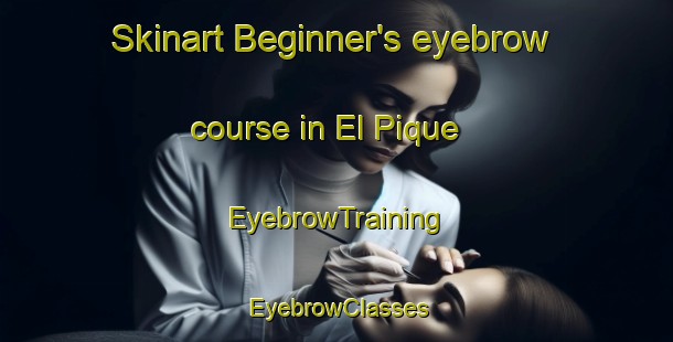 Skinart Beginner's eyebrow course in El Pique | EyebrowTraining | EyebrowClasses | SkinartTraining-Argentina
